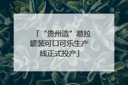 “贵州造”易拉罐装可口可乐生产线正式投产