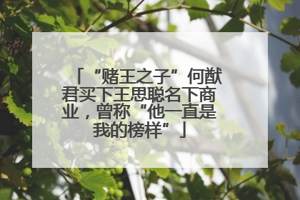 “赌王之子”何猷君买下王思聪名下商业，曾称“他一直是我的榜样”