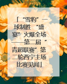 “雪豹”一球制胜 “盛宴”火爆全场——第二届“青超联赛”第二轮西宁主场比赛见闻