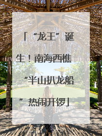 “龙王”诞生！南海西樵“半山扒龙船”热闹开锣