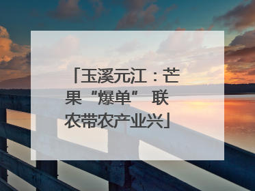 玉溪元江：芒果“爆单” 联农带农产业兴