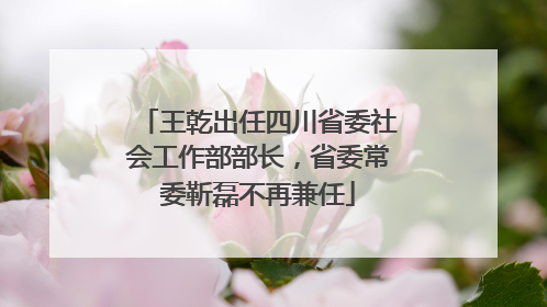 王乾出任四川省委社会工作部部长，省委常委靳磊不再兼任