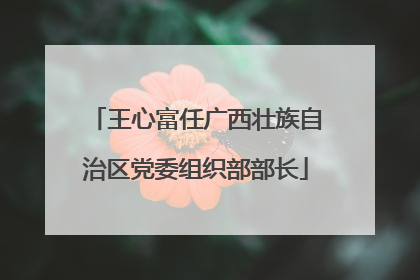王心富任广西壮族自治区党委组织部部长