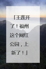 王莲开了！福州这个网红公园，上新了！