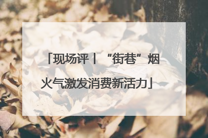 现场评丨“街巷”烟火气激发消费新活力
