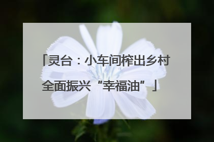 灵台：小车间榨出乡村全面振兴“幸福油”
