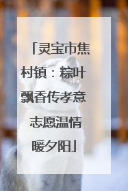 灵宝市焦村镇:粽叶飘香传孝意 志愿温情暖夕阳