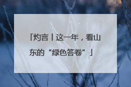 灼言丨这一年，看山东的“绿色答卷”