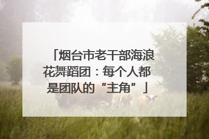 烟台市老干部海浪花舞蹈团：每个人都是团队的“主角”