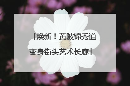 焕新！黄陂锦秀道变身街头艺术长廊