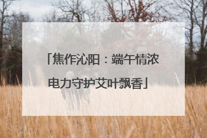 焦作沁阳：端午情浓 电力守护艾叶飘香