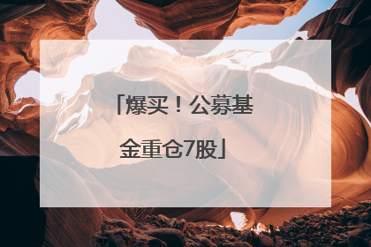 爆买！公募基金重仓7股
