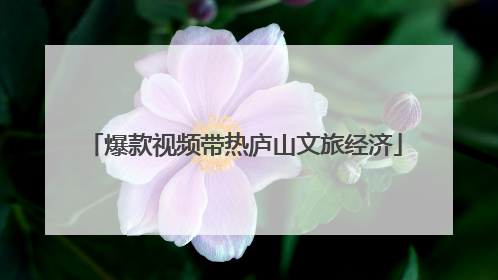 爆款视频带热庐山文旅经济