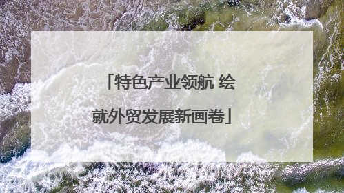 特色产业领航 绘就外贸发展新画卷