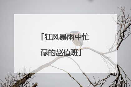 狂风暴雨中忙碌的赵值班