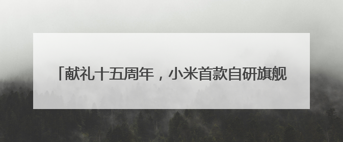 献礼十五周年，小米首款自研旗舰 SoC 手机小米15S Pro 正式发布，5499 元起售
