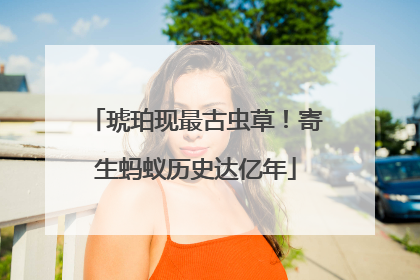 琥珀现最古虫草！寄生蚂蚁历史达亿年