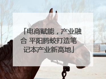电商赋能，产业融合 平阳腾蛟打造笔记本产业新高地