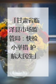 甘肃省临泽县市场监管局：快检小举措 护航大民生