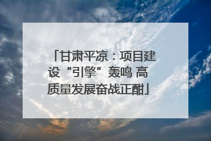 甘肃平凉：项目建设“引擎”轰鸣 高质量发展奋战正酣