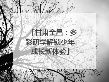 甘肃金昌：多彩研学解锁少年成长新体验