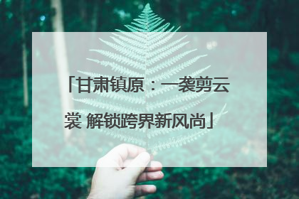 甘肃镇原：一袭剪云裳 解锁跨界新风尚