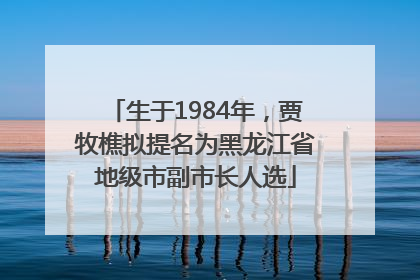 生于1984年，贾牧樵拟提名为黑龙江省地级市副市长人选