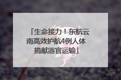 生命接力！东航云南高效护航4例人体捐献器官运输