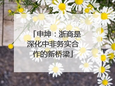 申坤：浙商是深化中非务实合作的新桥梁