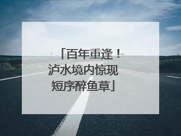 百年重逢！泸水境内惊现短序醉鱼草