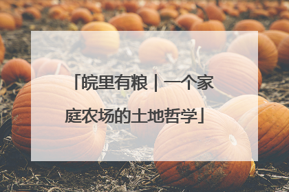 皖里有粮｜一个家庭农场的土地哲学