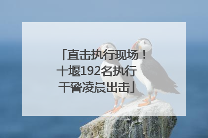 直击执行现场！十堰192名执行干警凌晨出击
