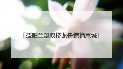 益阳兰溪双桡龙舟惊艳京城