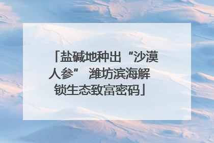 盐碱地种出“沙漠人参” 潍坊滨海解锁生态致富密码