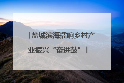 盐城滨海擂响乡村产业振兴“奋进鼓”