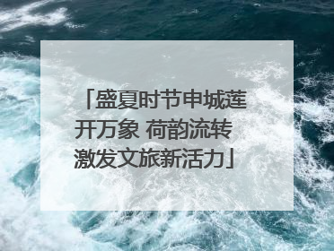 盛夏时节申城莲开万象 荷韵流转激发文旅新活力