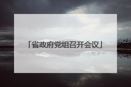 省政府党组召开会议