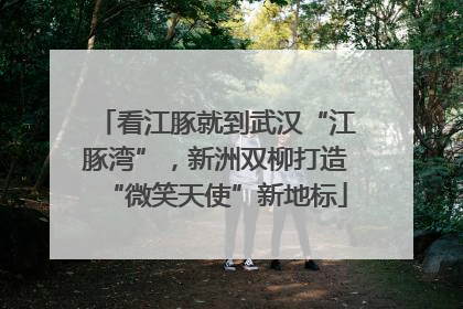 看江豚就到武汉“江豚湾”，新洲双柳打造“微笑天使”新地标