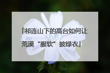祁连山下的高台如何让荒漠“服软”披绿衣