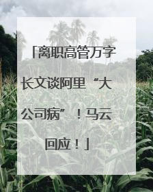离职高管万字长文谈阿里“大公司病”！马云回应！