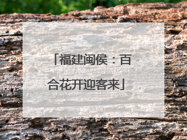 福建闽侯：百合花开迎客来