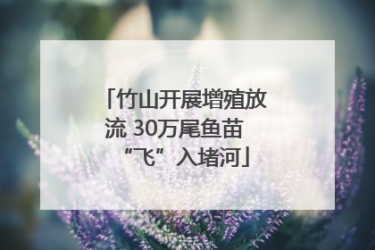竹山开展增殖放流 30万尾鱼苗“飞”入堵河