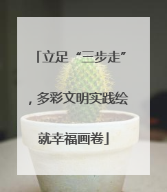 立足“三步走”，多彩文明实践绘就幸福画卷