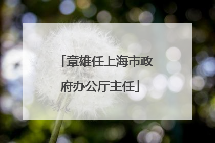 章雄任上海市政府办公厅主任