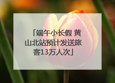 端午小长假 黄山北站预计发送旅客13万人次