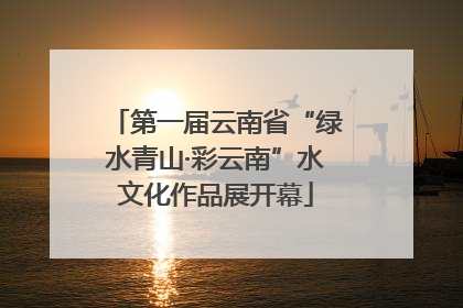 第一届云南省“绿水青山·彩云南”水文化作品展开幕
