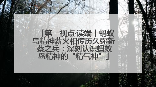 第一视点·读端丨蚂蚁岛精神薪火相传历久弥新 蔡之兵：深刻认识蚂蚁岛精神的“精气神”