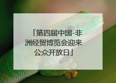 第四届中国-非洲经贸博览会迎来公众开放日