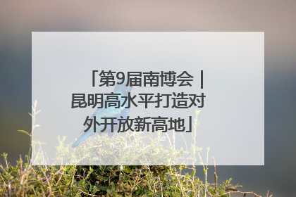 第9届南博会｜昆明高水平打造对外开放新高地
