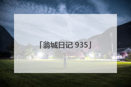 翁城日记 935